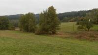 jablonec zelen podel dolinslkeho potoka